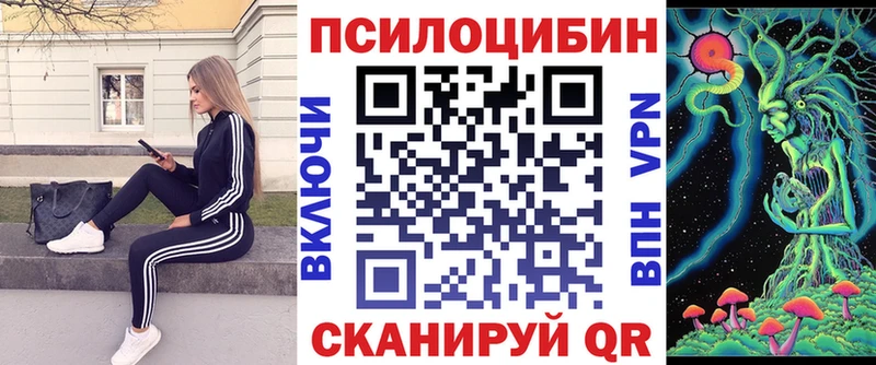 KRAKEN маркетплейс  Гай  Псилоцибиновые грибы прущие грибы 