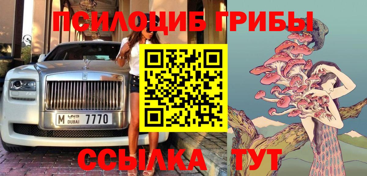 Галлюциногенные грибы Psilocybine cubensis Гай