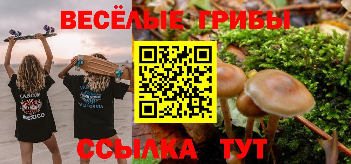 Гай  Галлюциногенные грибы GOLDEN TEACHER  Вход с VPN 