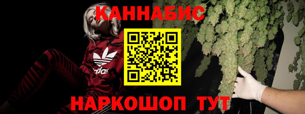 Бошки Шишки семена Гай